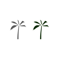 Design palms contour, silhouette on white