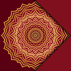 Mandala background. Vector illustration. For book cover