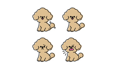 テディベアカットのトイプードル イラストセット（アプリコット）