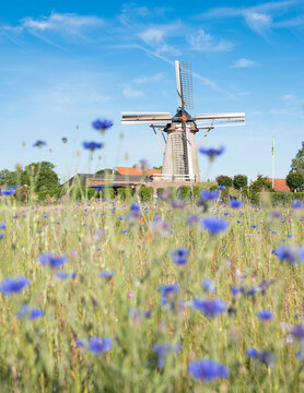 old windmill in village of Rha in dutch province of gelderland