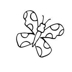 Single summer butterfly.Vector drawing in Doodle style. Isolated on a white background. Element of design and decor.