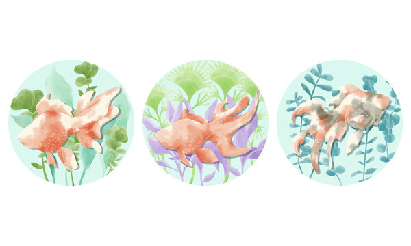 379 件の最適な 琉金 画像 ストック写真 ベクター Adobe Stock 379 件の最適な 琉金 画像 ストック写真 ベクター Adobe Stock