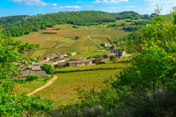 Vineyards and countryside, from the Rock of Solutre, Burgundy