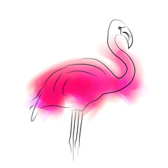 Contour flamingo with pink paint stains on a white background. Watercolor color smudges of paint. Vector outline bird for cards, banners and your creativity.