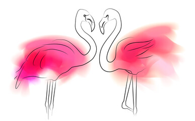 Outline illustration of pair flamingo with pink color stains on white background. Love in relationship. Contour family bird. Vector card for banner, invitation and your creativity.