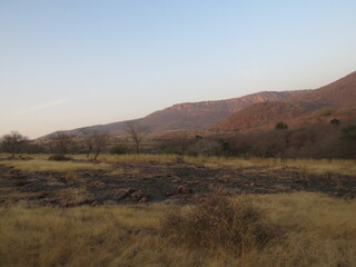 Obraz premium ranthambore