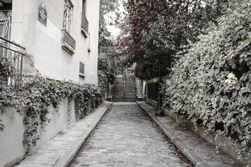 narrow street in the old city of paris