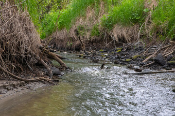 A shallow forest river with a wild view. Forest small river wild landscape. Wild river stream branches. Forest stream threshold view.