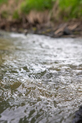 Close-up of rushing water, photo of wave texture and background. Waves of a small stream. Siberia of beauty.