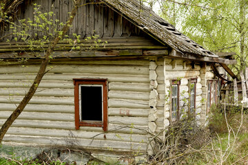 Destroyed wooden old houses in an abandoned village evicted during the Chernobyl accident at a nuclear power plant. Ukraine.