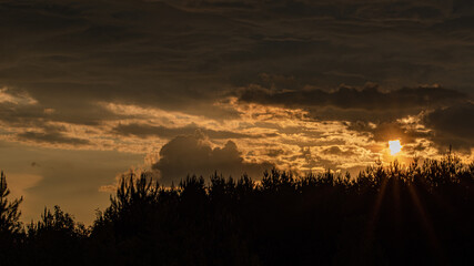 Zachód słońca nad lasem