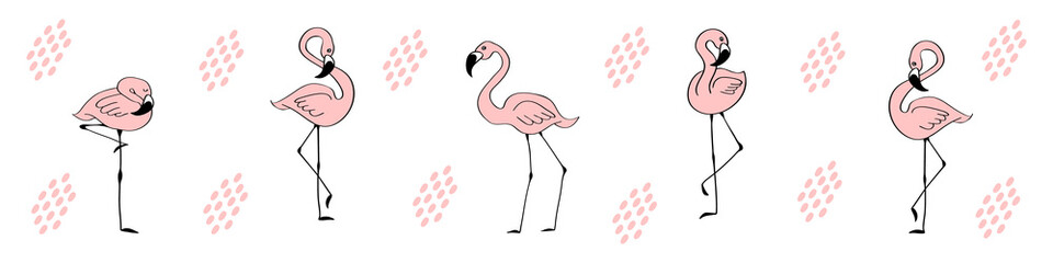 Web banner with cute hand drawn flamingos. Social media profile background. Doodle birds on white background. Flat vector illustration.