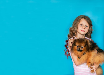 Young girl holding red Spitz on blue background. Copy space