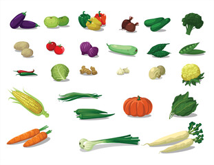 collection of vegetables