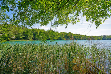Der Liepnitzsee liegt im Wandlitzer Seengebiet etwa 8 km nördlich der Berliner Stadtgrenze