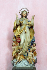 Fototapeta premium Assumption of the Virgin Mary statue in the parish church of St. Nicholas in Krapina, Croatia