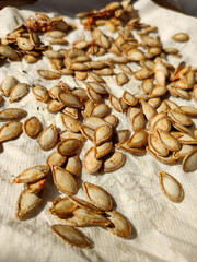pumpkin seeds are dried on paper