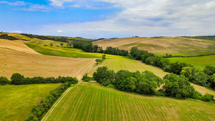 Fototapeta na wymiar Amazing aerial view of wheat field with poppies