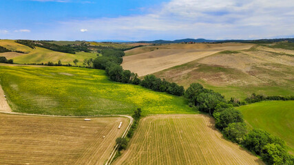 Fototapeta na wymiar Amazing aerial view of wheat field with poppies