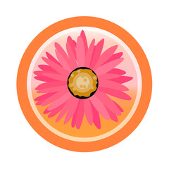 abstrct flower on the circle