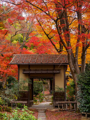 紅葉と小さな門