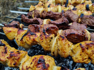 meat on a skewer on the grill on a picnic