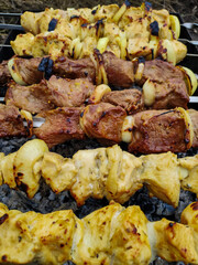 meat on a skewer on the grill on a picnic