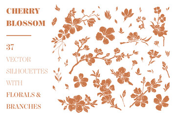 Cherry Blossom vector florals and branches - 355426135