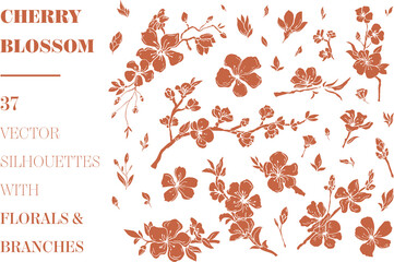 Cherry Blossom vector florals and branches - 355426176