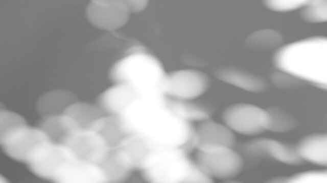 Summer concept the motion of bokeh sunlight natural shadow overlay on white texture background, for overlay on product presentation, backdrop and mockup