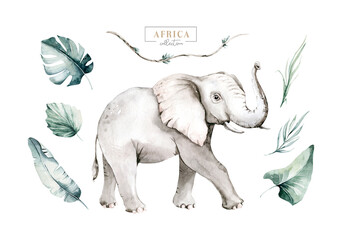Watercolor African elephant animal isolated on white background. Savannah wildlife cartoon zoo safari poster. Jungle decoration