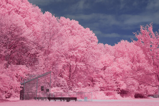 pink empty ballfield 