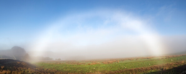 Fog Bow