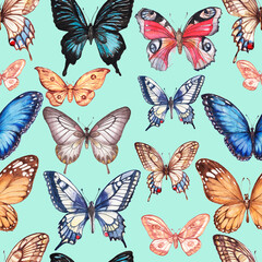 Fototapeta premium Hand-drawn watercolor seamless pattern, print. Multi-colored butterflies, insects, animals. Wildlife, spring, summer. Vintage, retro style, realism, sketch.