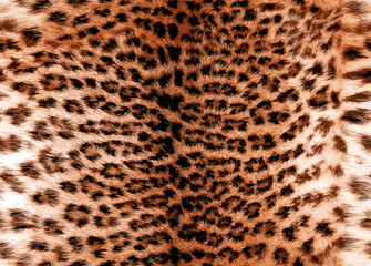 Seamless leopard fur pattern, realistic luxury background. animal skin. decoration wallpaper. Design for fashion ,fabric, web, wallpaper , wrapping