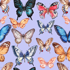 
Hand-drawn watercolor seamless pattern, print. Multi-colored butterflies, insects, animals. Wildlife, spring, summer. Vintage, retro style, realism, sketch.