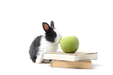Adorable fluffy rabbit with green apple and book (symbol of knowledge, learning and studying) on...