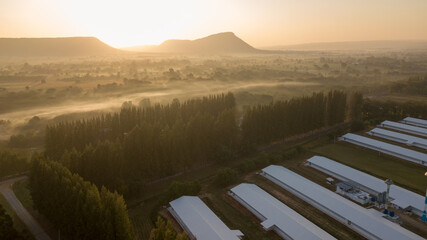 Asia Country Farmland With sunrise sky from drone aerial view with animal housing infrastructure.