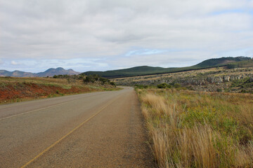 Outback Australien Straße Weg Gras