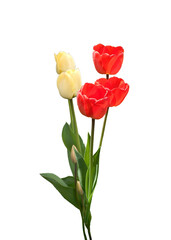 bouquet of red and yellow  tulips