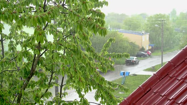 Photo of summer rain outside the window. Rain in summer.