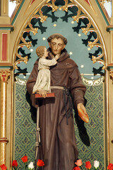 Obraz premium Saint Anthony holding a child Jesus, a statue on the altar of Saint Anthony of Padua in the parish church of Saint George in Desinic, Croatia