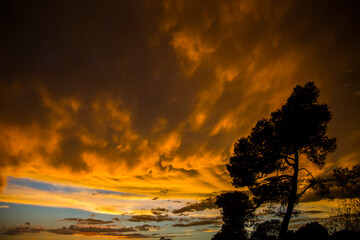 Fototapeta na wymiar Summer sunrise in Platja Llarga beach, Tarragona, Spain