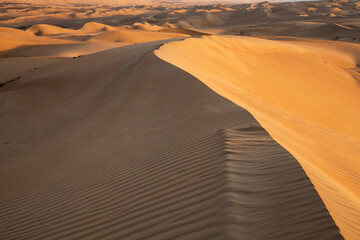 Fototapeta na wymiar Contrast of dune crest in Wahiba Sands desert in Oman in warm late afternoon light
