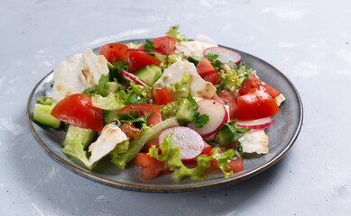 Vegan fattoush salad in a gray plate on a gray background. Close up. Levantine salad, which is prepared from dried pita or pita with the addition of various vegetables and herbs. 
