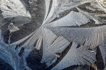 Frost patterns on a car bonnet - winter hoar frost creating unusual feather shapes.