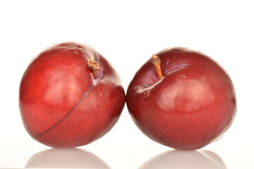 Juicy, tasty, organic red plum, close-up, on a white background.