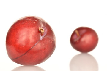Juicy, tasty, organic red plum, close-up, on a white background.
