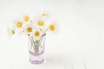 daisy flowers in vase on table with copy space