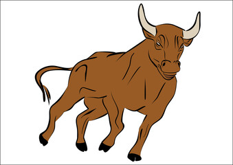 Bull illustration vector